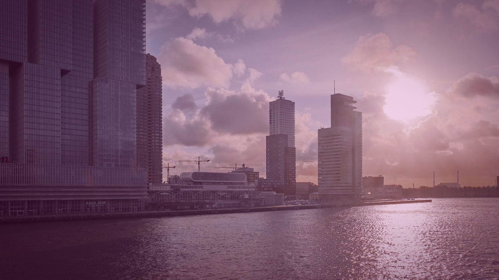 website laten maken eindhoven